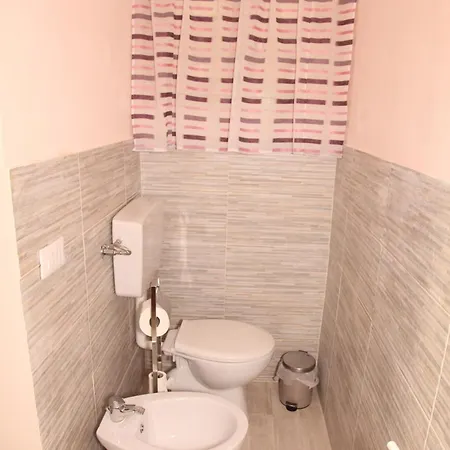 Vulcanica Apartament